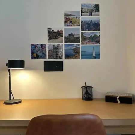 Le Big Stork - - Centre Historique *