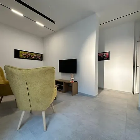 Le Big Stork - - Centre Historique アパート コルマール