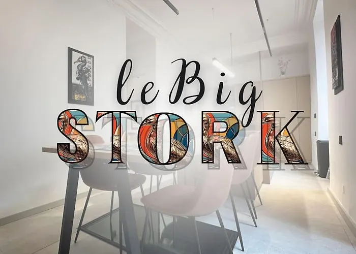 Le Big Stork - - Centre Historique Daire *